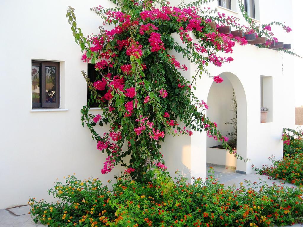 Aura Holiday Villas Пафос Экстерьер фото